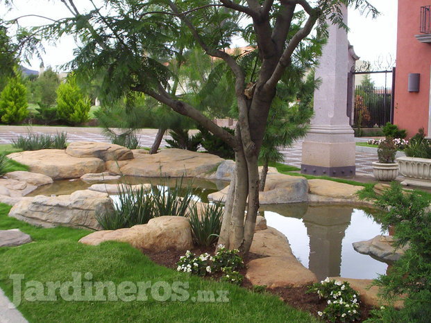 Áreas Verdes Y Jardinería