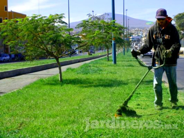 Áreas Verdes Y Jardinería