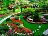 ALMARÁZ JARDINERÍA & CÍA