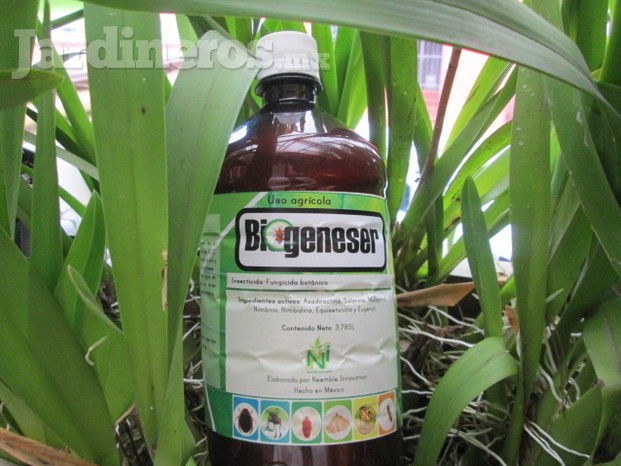  Biogeneser insecticida fungicida 100 por ciento organico a base de neem