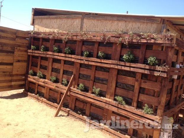 Jardin vertical para la buena Ola en Playa hermosa