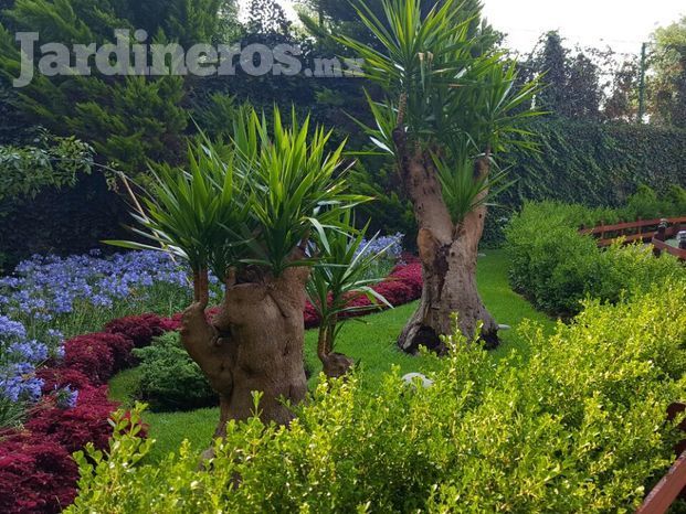 Jardín mediterraneo