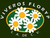 Viveros Floryp SA de CV