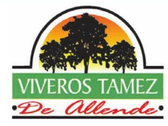 Viveros Tamez De Allende