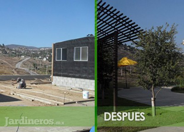 Verde Arquitectura Del Pa