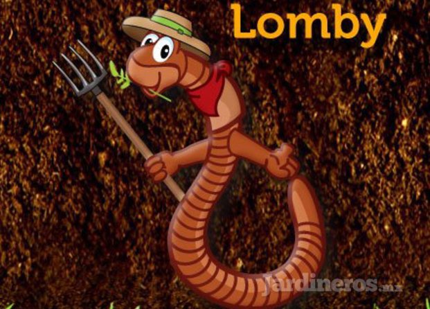 Lomby
