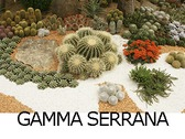 GAMMA SERRANA