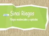 Sinai Riego