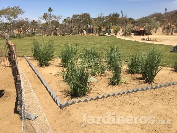 construccion de jardineria csl
