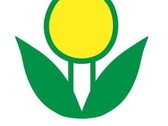 Logo Jardines Y Palapas Ambientales