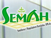 Semah - Semilleros Y Maquiladores Hortícolas