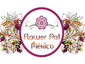 Flower Pot México