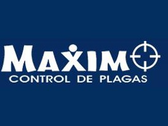 Máximo Control De Plagas, Máximo Fumigaciones