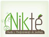 Nikté