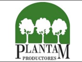 Plantam