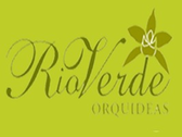 Orquídeas Río Verde