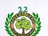 Vivero Fypo