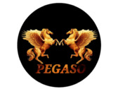 PEGASO Mtto. Y +