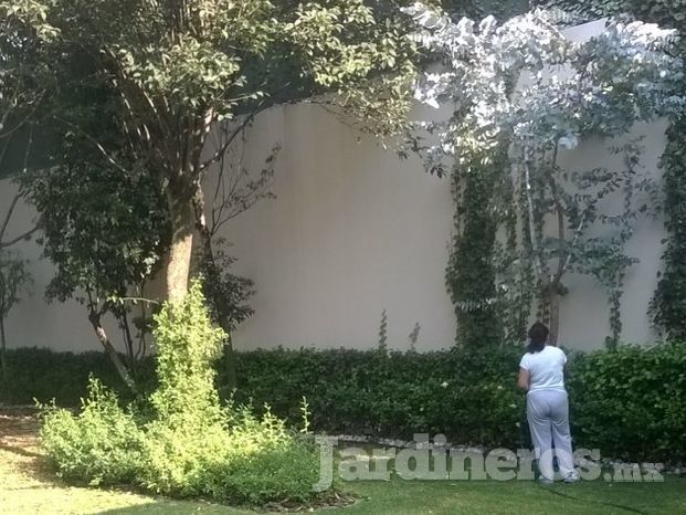 Mantenimiento de jardinería