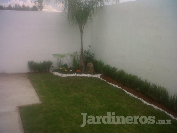 Jardineria en Casas