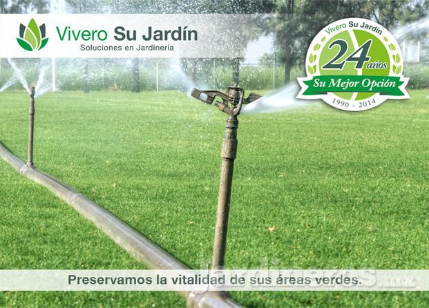 Preservamos la vitalidad de sus áreas verdes.