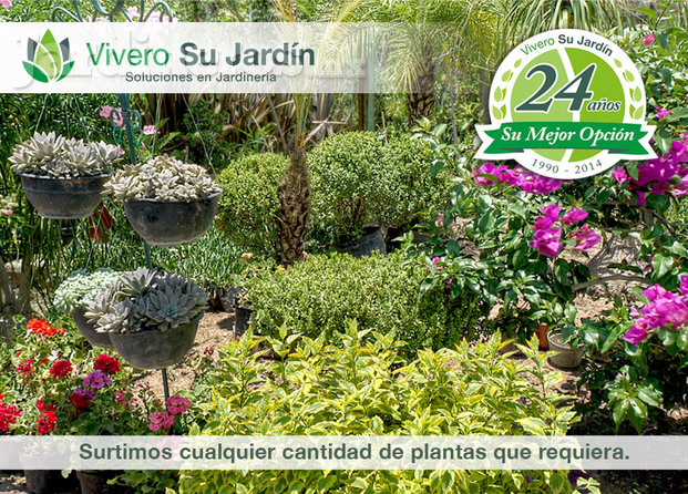 Surtimos cualquier cantidad de plantas que requiera.