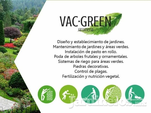 Vac Green 