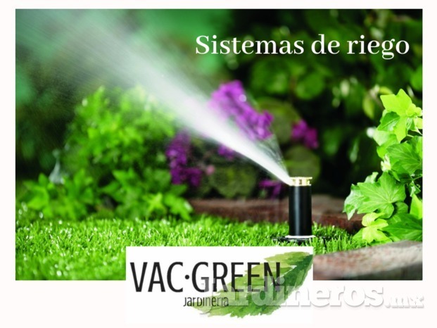 Vac Green 