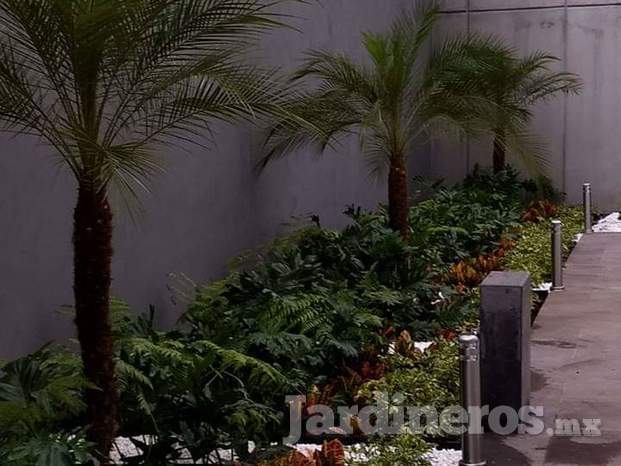 Proyectos Ecológicos El Trébol 