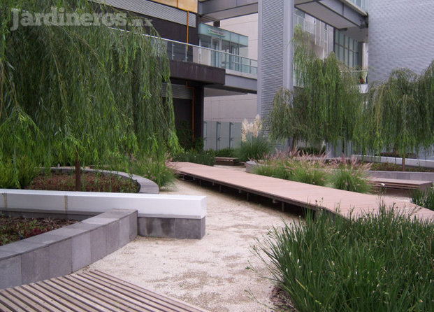 Roof Garden