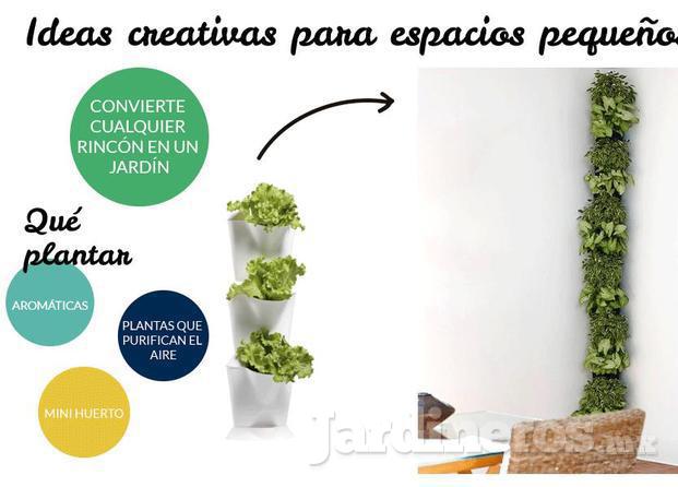 Ideas Creativas