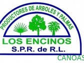 Productores de Árboles y Palmas los Encinos SPR DE RL