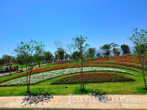 jardineria muros verdes jalisco 