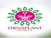 Ornaplant