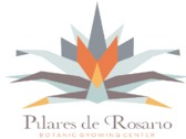 Logo Pilares De Rosario