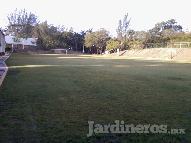 Mantenimiento a campos de football y más.