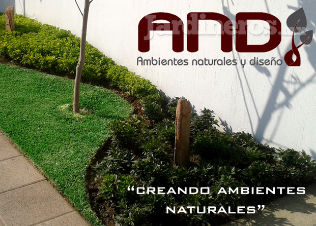 Creando espacios naturales