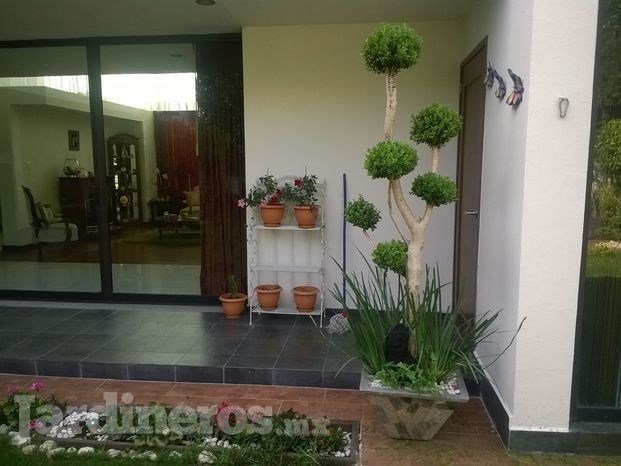 GREEN Jardineria