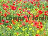 Ai Campo Y Jardin