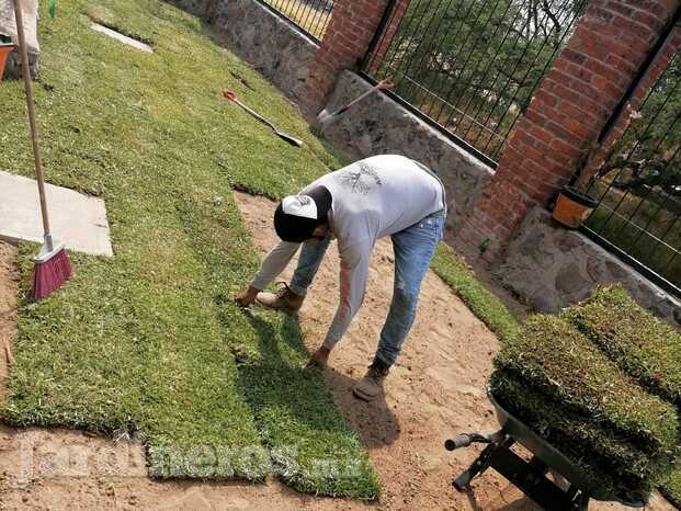 COLOCASION DE JARDINES.jpeg