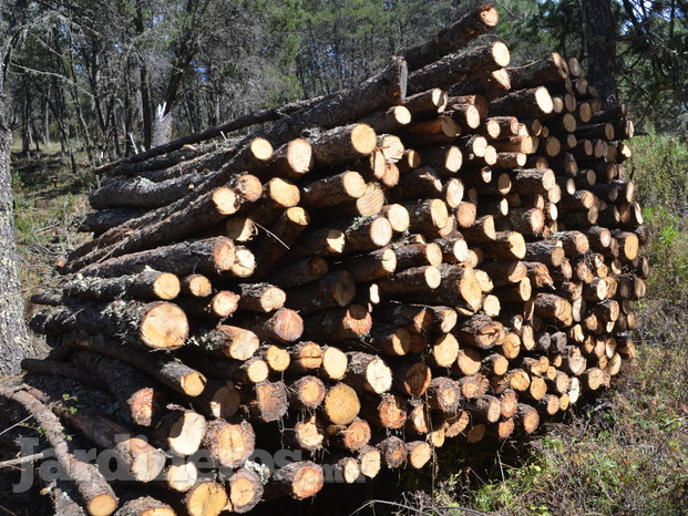 Postas de madera de pino de 8 pies de largo
