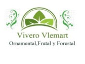 Logo Vivero Vlemart