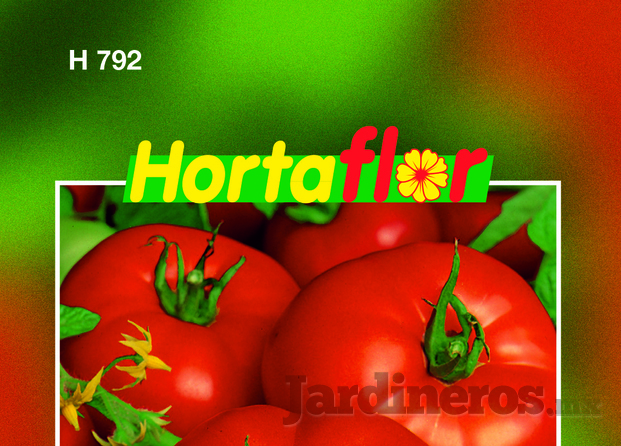 H792 Jitomate Bola.jpg