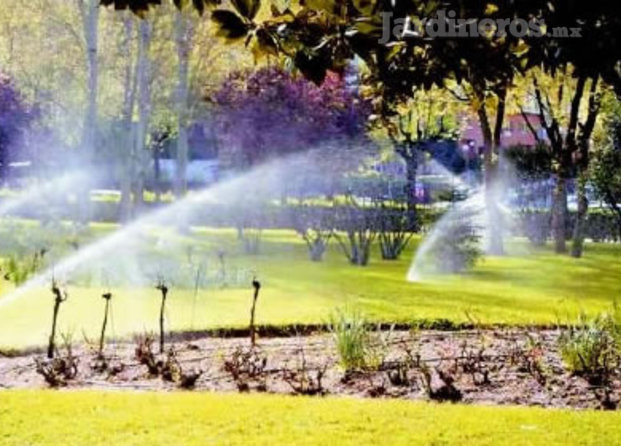 El Jardinero Regio