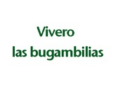 Vivero las bugambilias