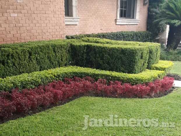 Jardin 