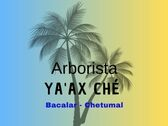 Ay'ax Ché