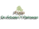 Poda De Árboles Y Palmeras