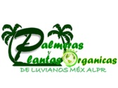 Logo Viveros en Toluca
