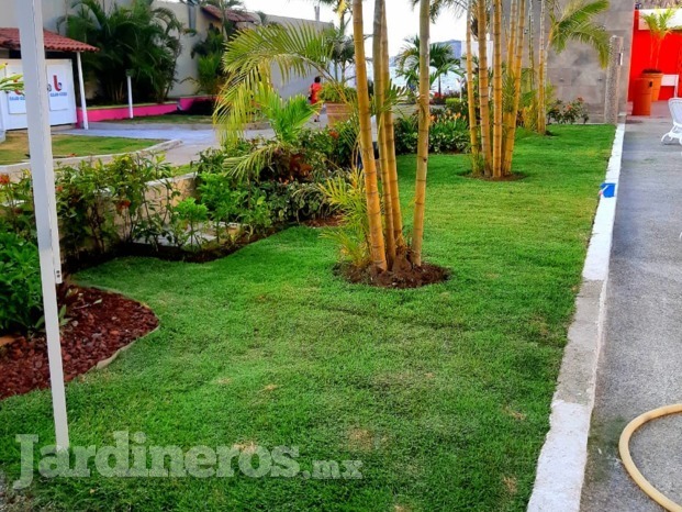 Jardin Cocos 3, Guayabitos, Bahia de Banderas, Nayarit